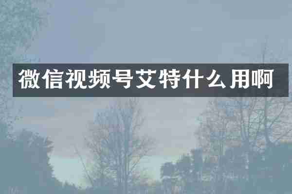 微信视频号艾特什么用啊