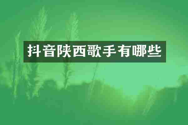 抖音陕西歌手有哪些