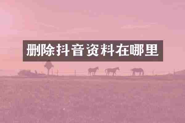 删除抖音资料在哪里