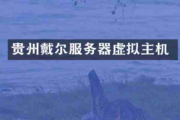 贵州戴尔服务器虚拟主机