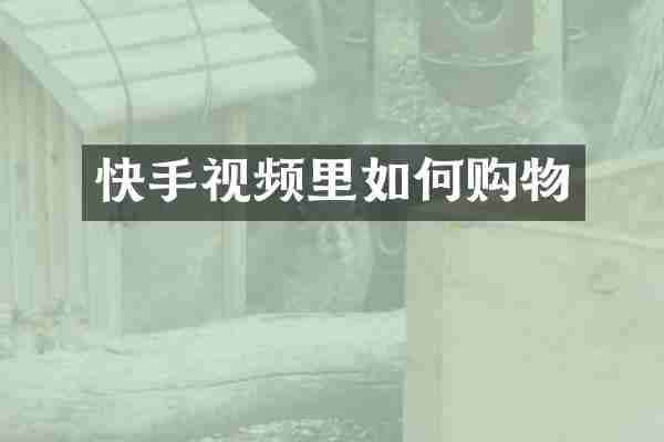 快手视频里如何购物