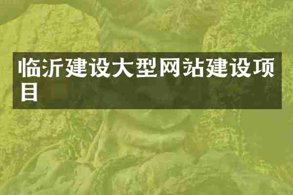 临沂建设大型网站建设项目