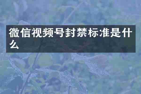 微信视频号封禁标准是什么