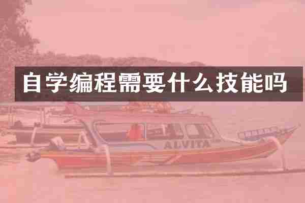 自学编程需要什么技能吗