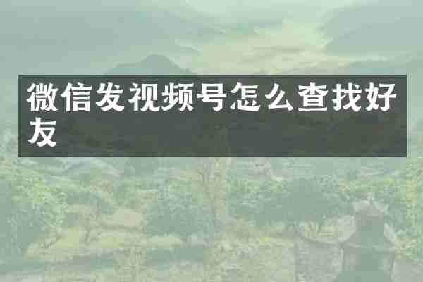 微信发视频号怎么查找好友