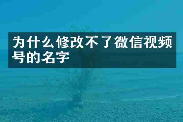 为什么修改不了微信视频号的名字