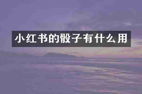 小红书的骰子有什么用