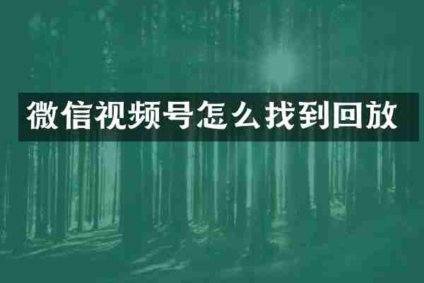微信视频号怎么找到回放