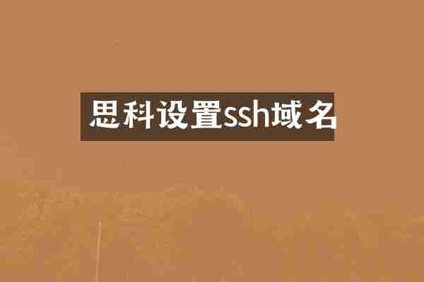 思科设置ssh域名