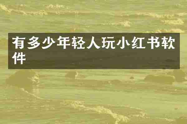 有多少年轻人玩小红书软件