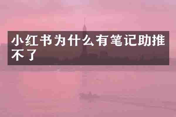 小红书为什么有笔记助推不了