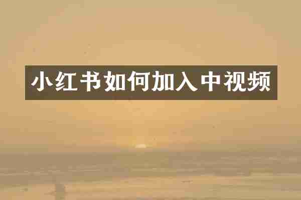 小红书如何加入中视频