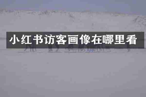 小红书访客画像在哪里看