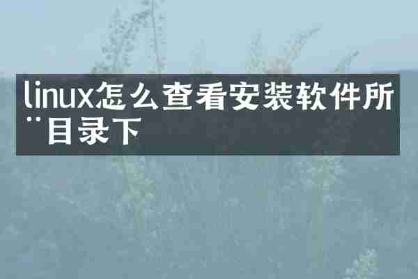 linux怎么查看安装软件所在目录下