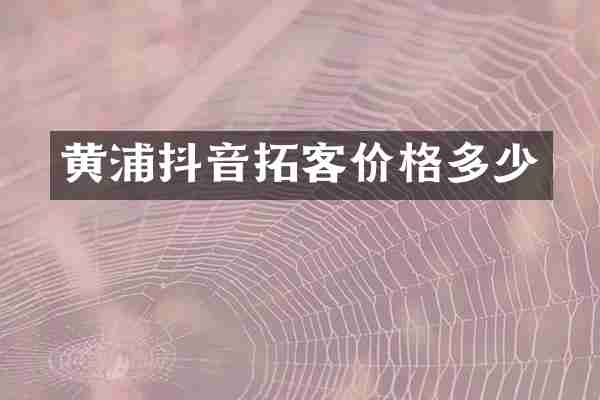 黄浦抖音拓客价格多少
