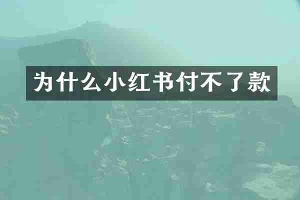 为什么小红书付不了款