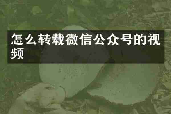 怎么转载微信公众号的视频
