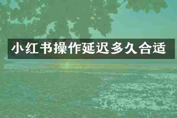 小红书操作延迟多久合适