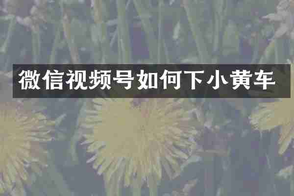 微信视频号如何下小黄车