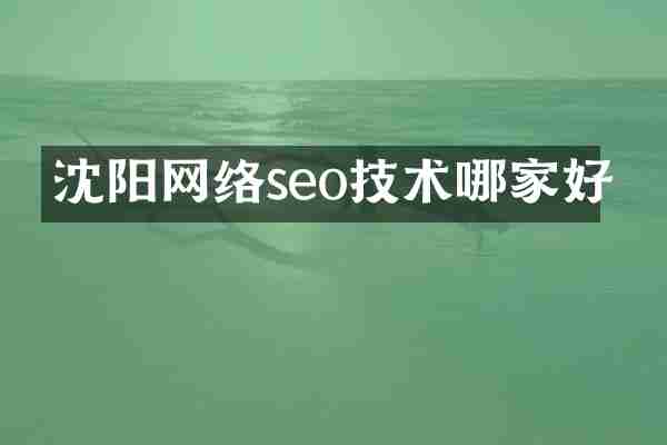 沈阳网络seo技术哪家好