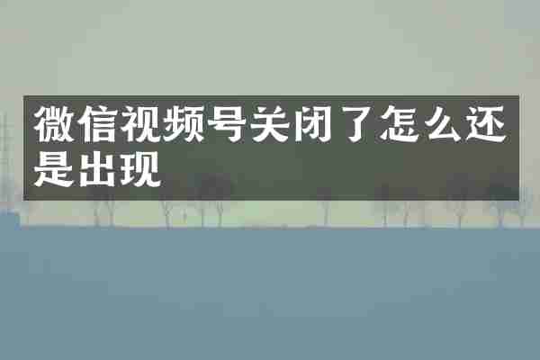 微信视频号关闭了怎么还是出现
