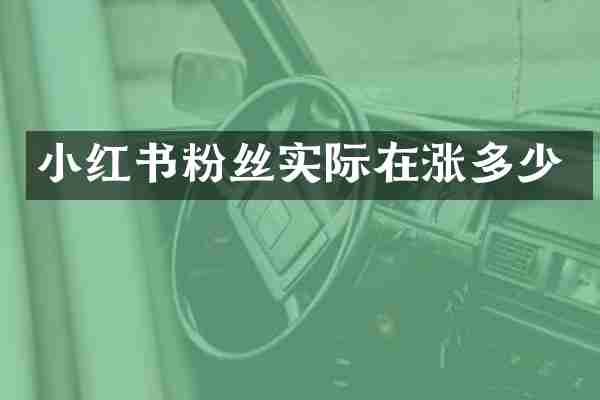 小红书粉丝实际在涨多少