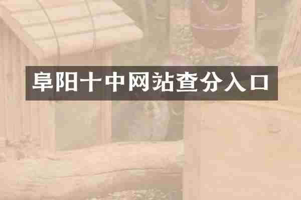阜阳十中网站查分入口