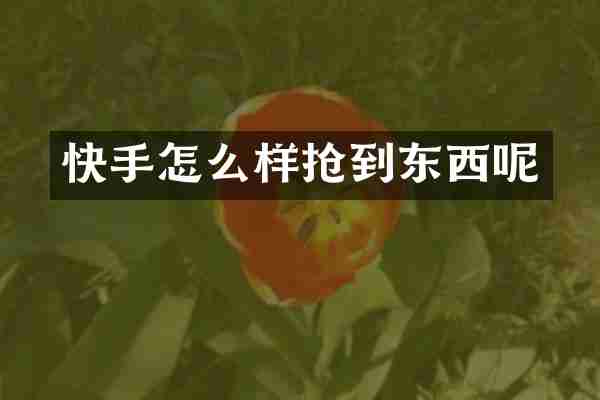 快手怎么样抢到东西呢