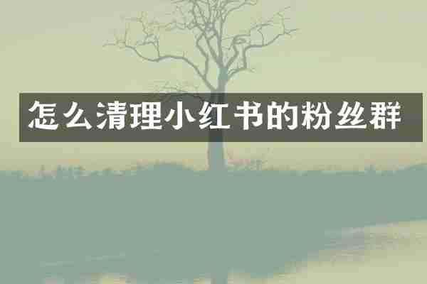 怎么清理小红书的粉丝群
