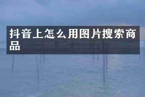抖音上怎么用图片搜索商品