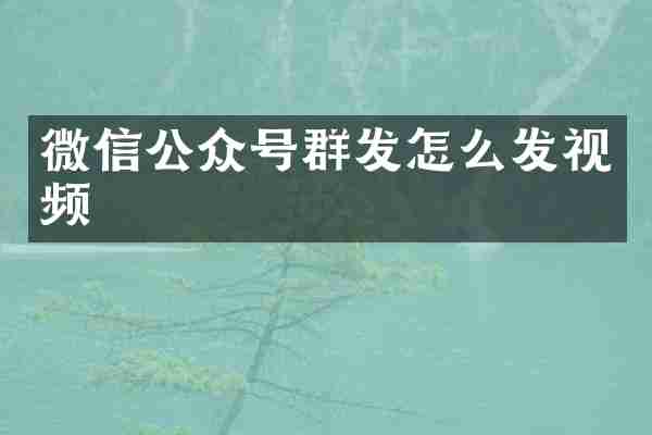 微信公众号群发怎么发视频