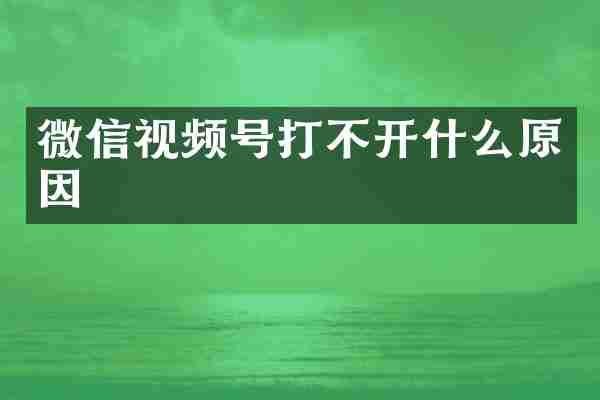 微信视频号打不开什么原因