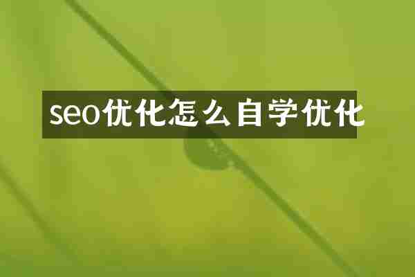seo优化怎么自学优化