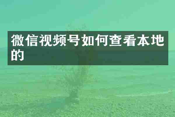 微信视频号如何查看本地的