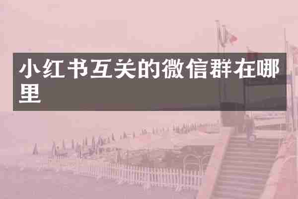 小红书互关的微信群在哪里