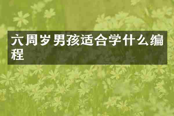 六周岁男孩适合学什么编程