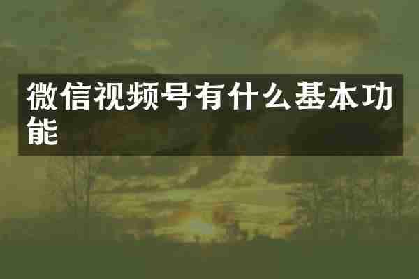 微信视频号有什么基本功能