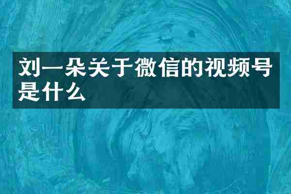 刘一朵关于微信的视频号是什么