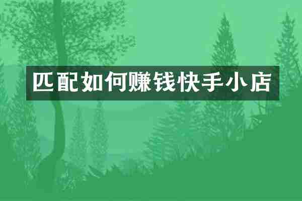 匹配如何赚钱快手小店