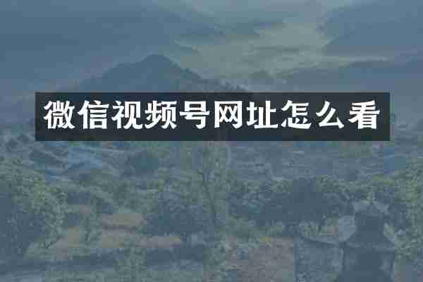 微信视频号网址怎么看