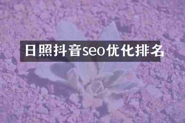 日照抖音seo优化排名
