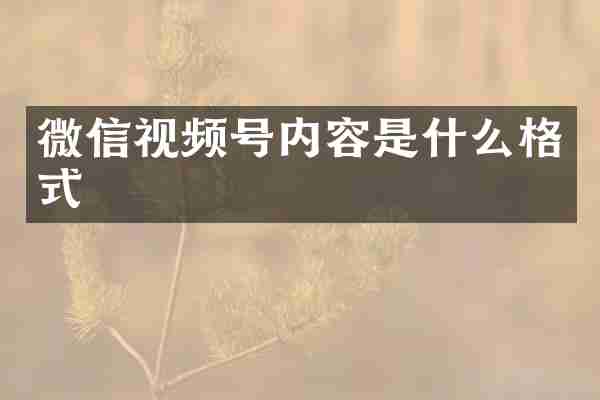 微信视频号内容是什么格式