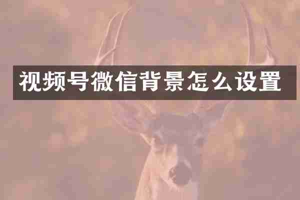 视频号微信背景怎么设置