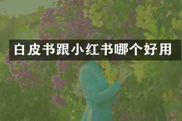 白皮书跟小红书哪个好用