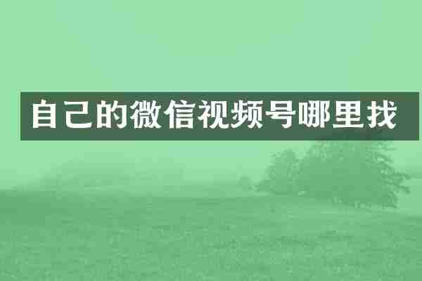 自己的微信视频号哪里找