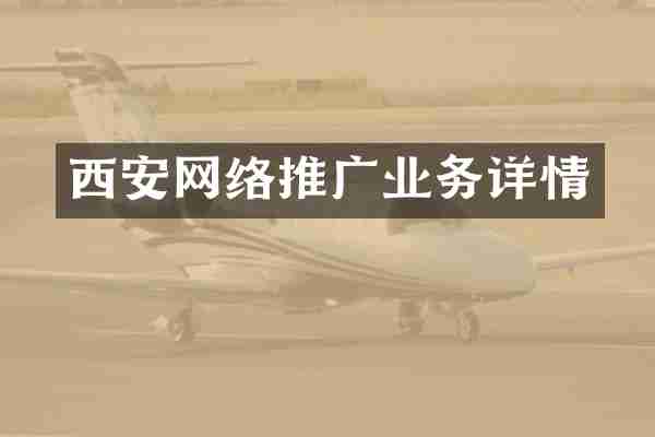 西安网络推广业务详情