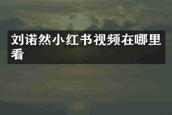 刘诺然小红书视频在哪里看
