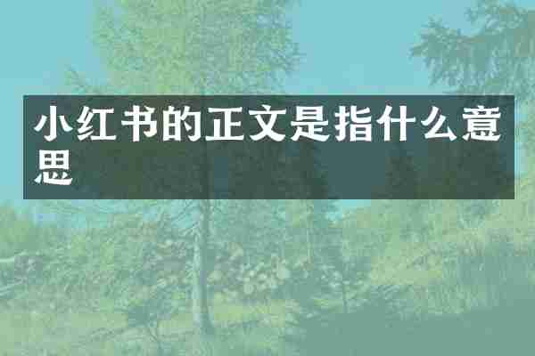 小红书的正文是指什么意思