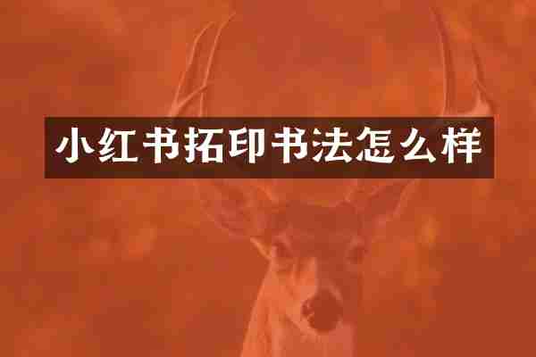 小红书拓印书法怎么样