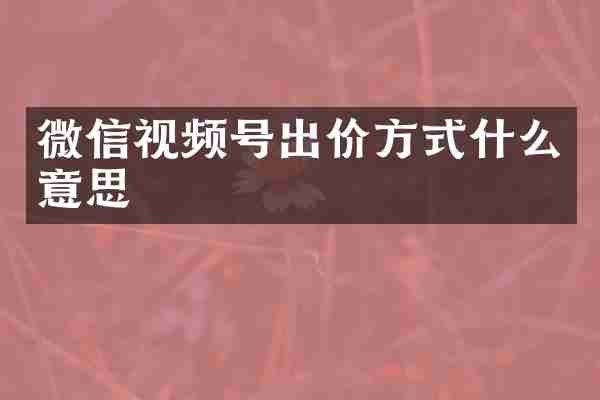 微信视频号出价方式什么意思